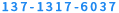 137-1317-6037